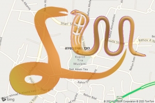 לכידת נחש בטירה - לוכד נחשים בטירה