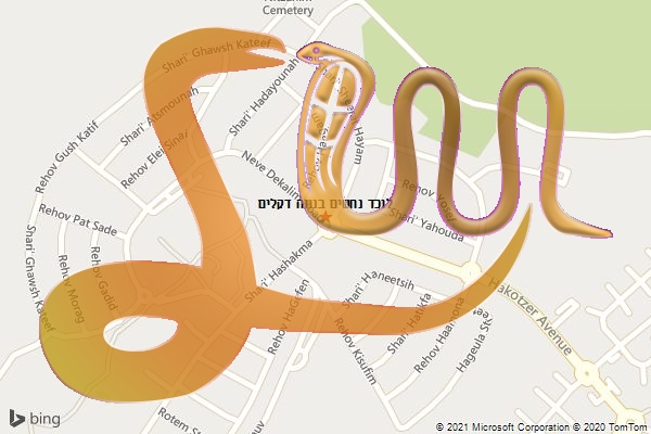לוכד נחשים בנווה דקלים