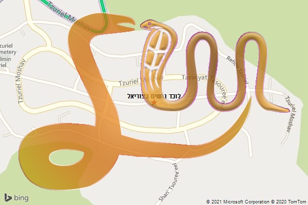 לוכד נחשים בצוריאל
