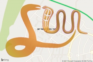 לכידת נחש בגבעת יואב - לוכד נחשים בגבעת יואב