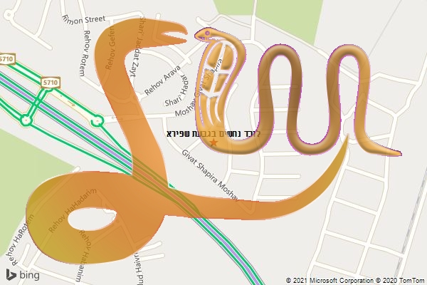 לוכד נחשים בגבעת שפירא