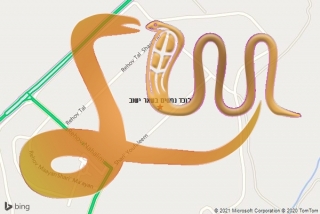 לכידת נחש בשאר ישוב - לוכד נחשים בשאר ישוב