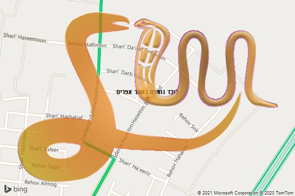 לוכד נחשים בשער אפרים