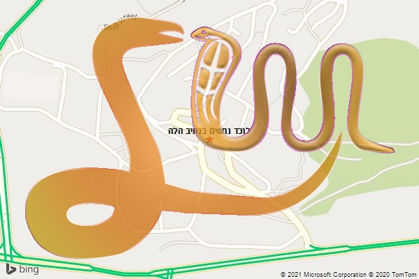 לוכד נחשים בנתיב הלה