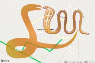 לכידת נחש בקיבוץ חולדה - לוכד נחשים בקיבוץ חולדה