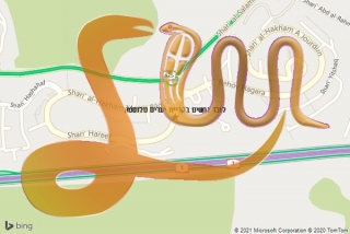 לכידת נחש בקריית יערים טלזסטון - לוכד נחשים בקריית יערים טלזסטון