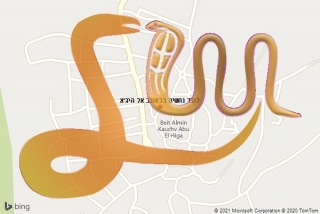  בכאוכב אל היג׳א - לוכד נחשים בכאוכב אל היג׳א