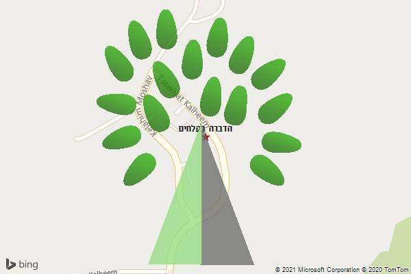 הדברה בקלחים