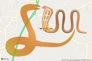 לכידת נחש בזמר - לוכד נחשים בזמר