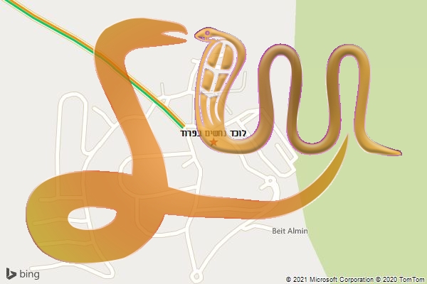 לוכד נחשים בפרוד