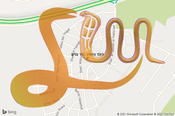 לוכד נחשים בניר גלים
