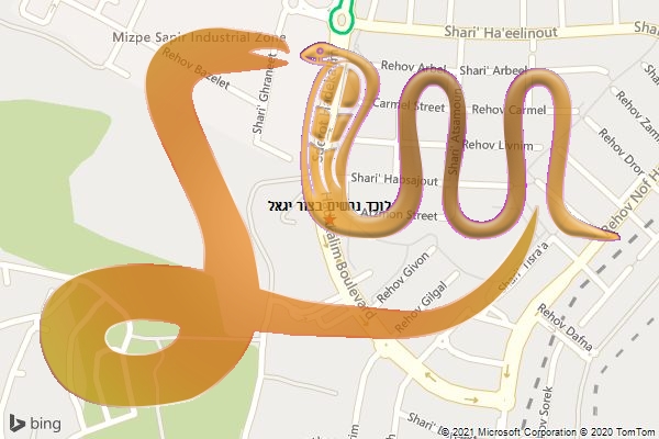 לוכד נחשים בצור יגאל