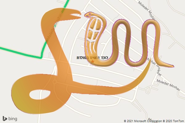 לוכד נחשים במולדת