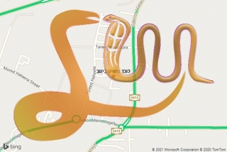 לכידת נחש בינוב - לוכד נחשים בינוב