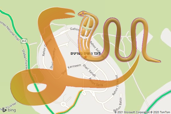 לוכד נחשים בשריגים