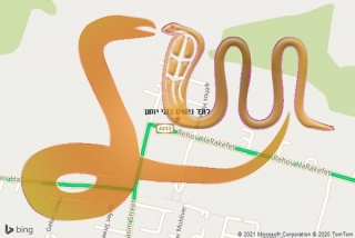 לכידת נחש בגני יוחנן - לוכד נחשים בגני יוחנן