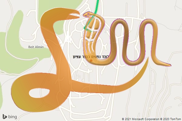 לוכד נחשים בכפר עציון