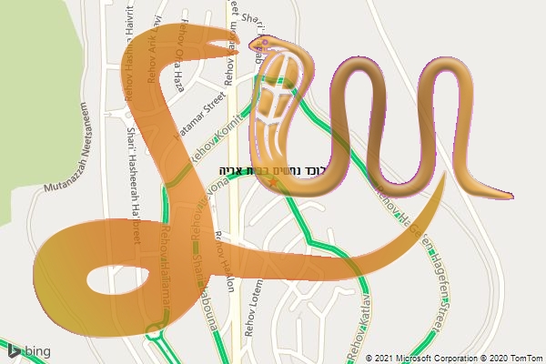 לוכד נחשים בבית אריה