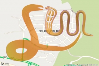לכידת נחש במבוא ביתר - לוכד נחשים במבוא ביתר