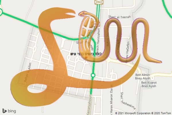 לוכד נחשים בבני עיש