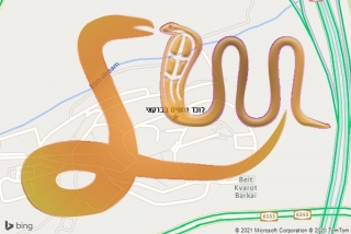לכידת נחש בברקאי - לוכד נחשים בברקאי