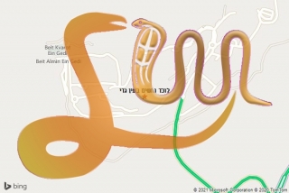 לכידת נחש בעין גדי - לוכד נחשים בעין גדי