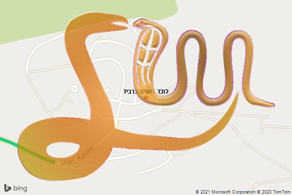 לוכד נחשים ברביד