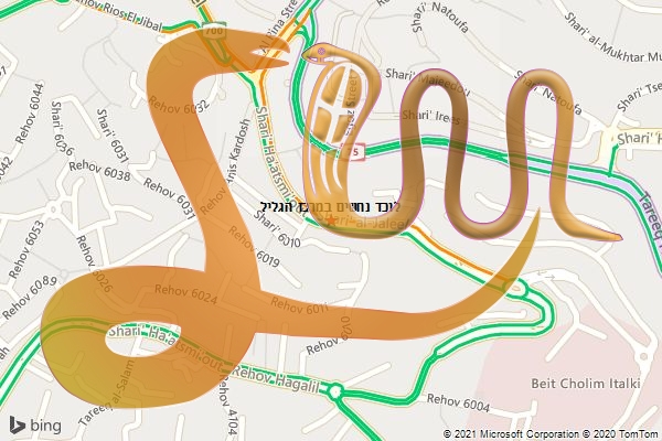 לוכד נחשים במרכז הגליל