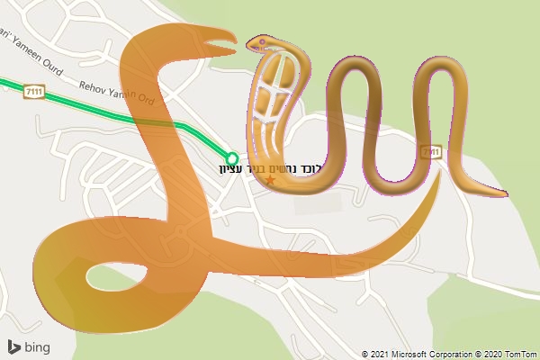 לוכד נחשים בניר עציון
