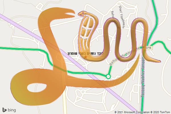 לוכד נחשים בשבי שומרון