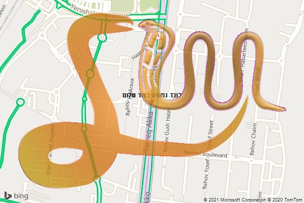 לוכד נחשים בצור שלום