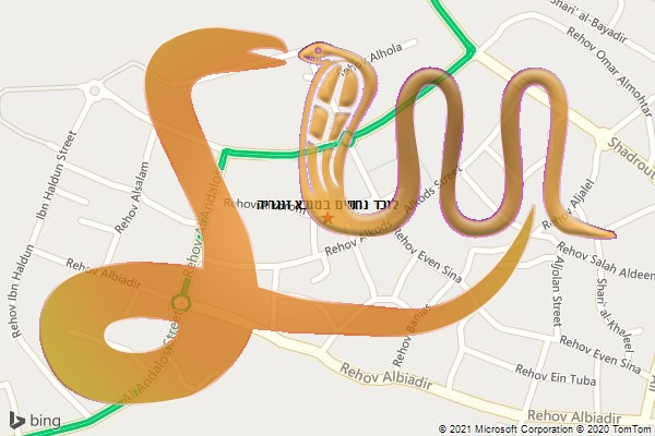 לוכד נחשים בטובא זנגריה