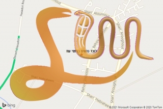 לכידת נחש בניצני עוז - לוכד נחשים בניצני עוז