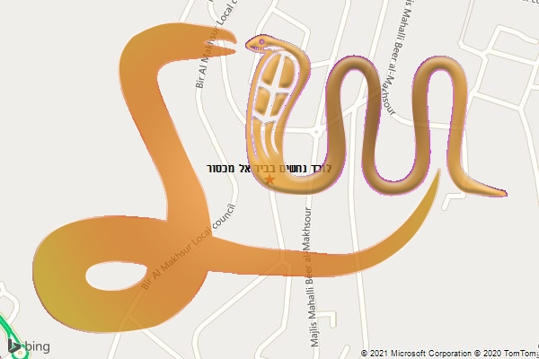 לוכד נחשים בביר אל מכסור