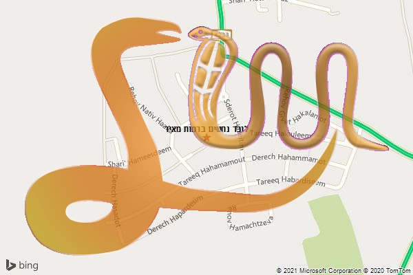 לוכד נחשים ברמות מאיר