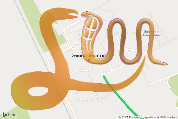 לוכד נחשים בגן שמואל