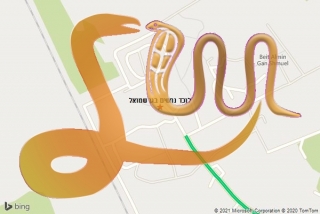 לכידת נחש בגן שמואל - לוכד נחשים בגן שמואל