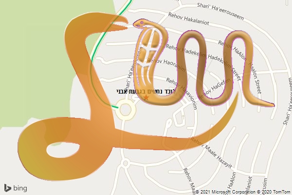 לוכד נחשים בגבעת אבני