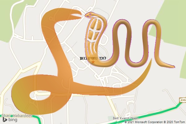 לוכד נחשים בנען