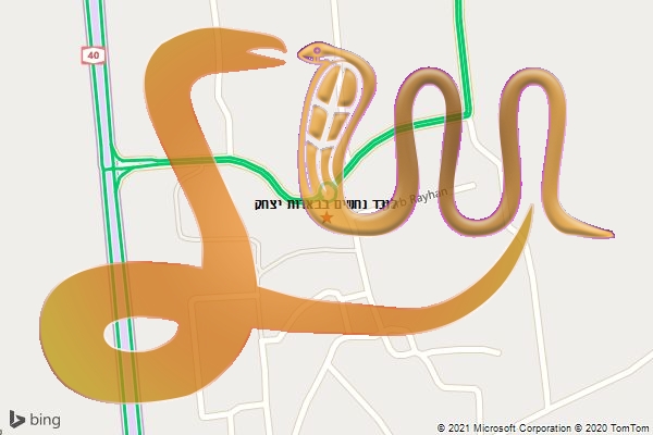 לוכד נחשים בבארות יצחק