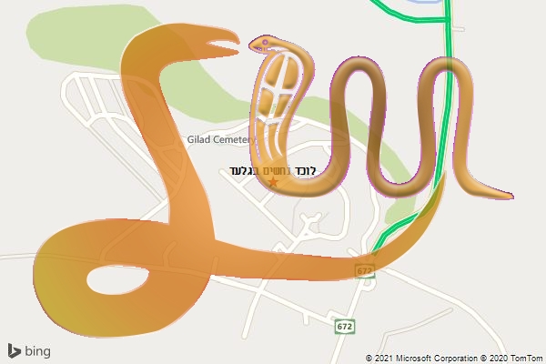 לוכד נחשים בגלעד
