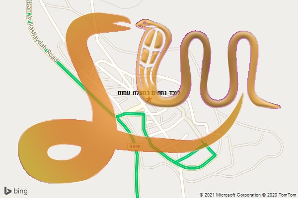 לוכד נחשים במעלה עמוס