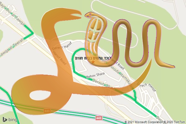 לוכד נחשים בבית חורון