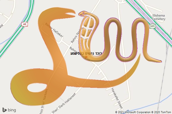 לוכד נחשים באלישמע