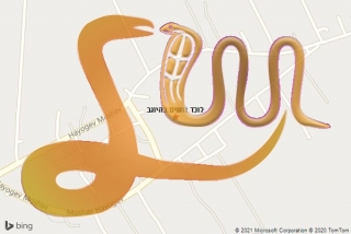 לכידת נחש בהיוגב - לוכד נחשים בהיוגב