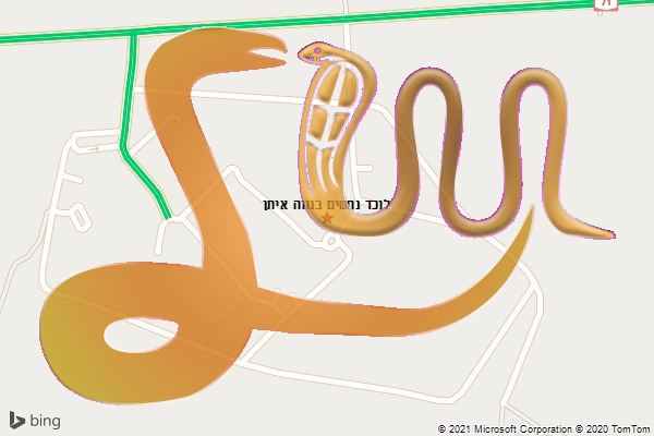 לוכד נחשים בנווה איתן