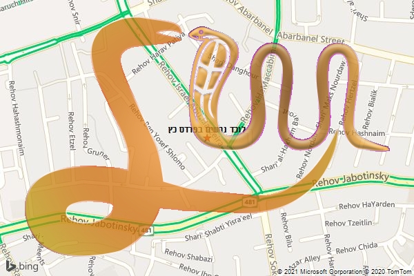 לוכד נחשים בפרדס כץ