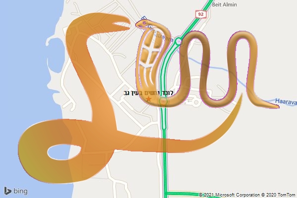 לוכד נחשים בעין גב