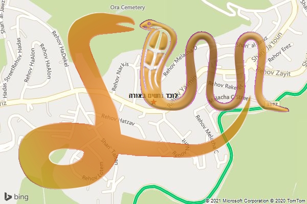 לוכד נחשים באורה