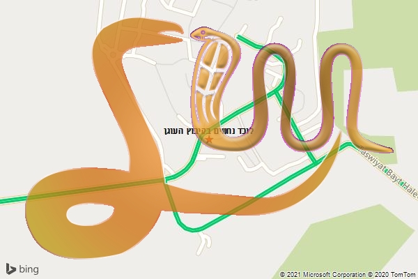 לוכד נחשים בקיבוץ העוגן